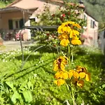 Caterina Levanto