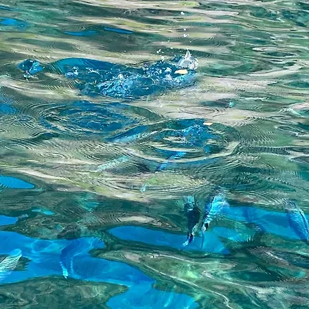 Caterina * Levanto