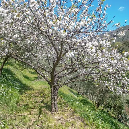Caterina * Levanto