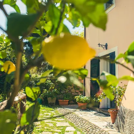 Caterina בית חווה