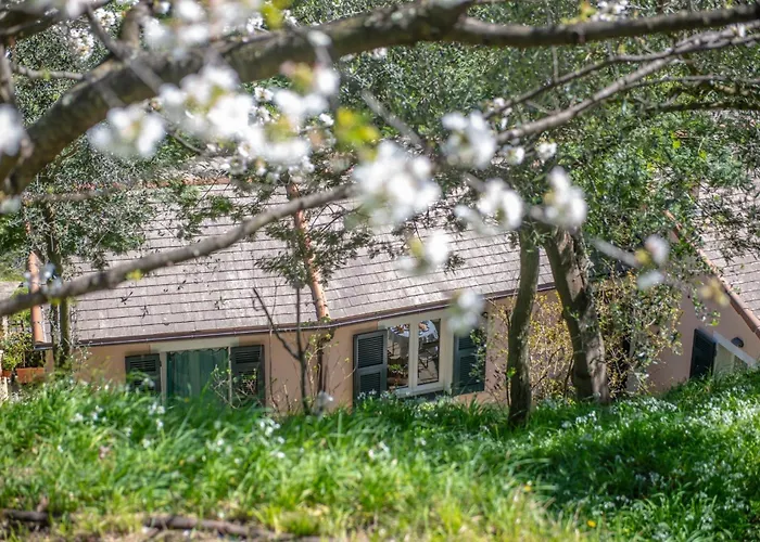 Feriegård Caterina Levanto