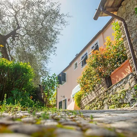 Caterina בית חווה