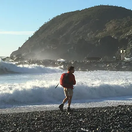 Caterina * לבנטו