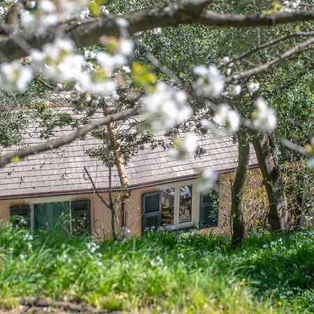 בית חווה Caterina לבנטו