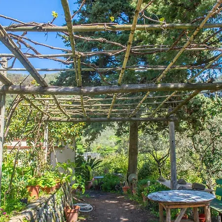 Caterina בית חווה