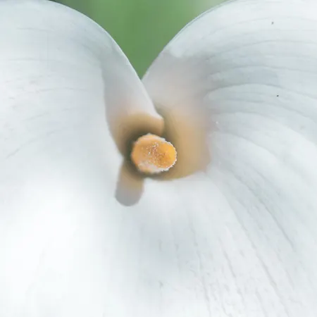 Caterina בית חווה