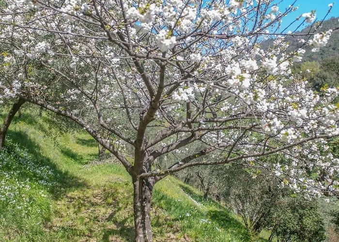 Caterina * Levanto